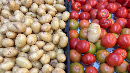 Light-beige potatoes and red and green tomatoes displayed in bulk. Fresh vegetables on display for sale at a market or fair, separated by a dark divider.