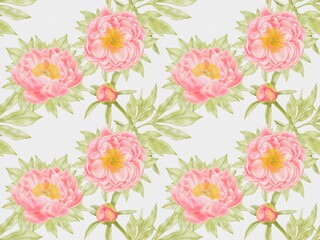 Coral Peonies Seamless Pattern &ndash; Watercolor Floral Design on White Background