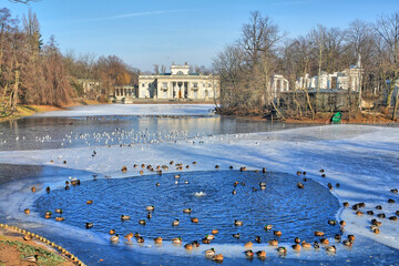 Fototapety na wymiar - Fototapeta24.pl