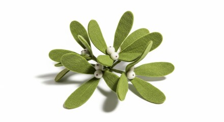 Felt Christmas Mistletoe photo on a solid white background, holiday graphic, Craft