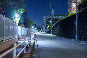 ブルーモーメントに浮かぶ歩道と街路灯のライン