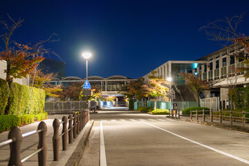 静かな住宅街の夜道と街灯のガードレール