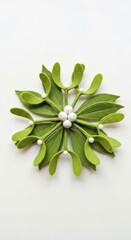 Felt Christmas Mistletoe photo on a solid white background, holiday graphic, Craft