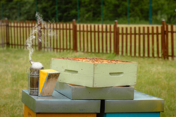 Beekeeper using smoker on hive for safety