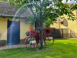 Selbstklebende Fototapeten Fahrrad Charming red vintage bicycle with flower baskets and a milk can rests against a tree beside a rustic countryside house, bathed in warm sunlight and a visible sunbeam.  © staka99