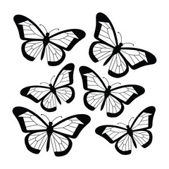 Flying butterflies silhouette black set isolated on white background. Set of butterfly in flight silhouettes. Set of butterflies. Butterfly silhouette icons set.
