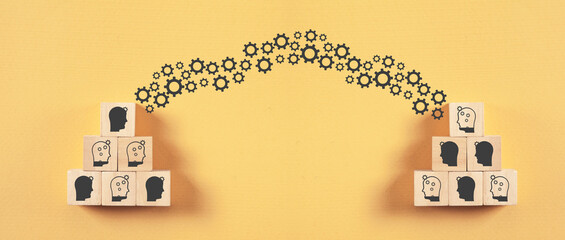 Knowledge sharing. Transferring. Brainstorming concept