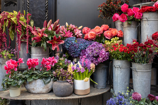 A dense floral arrangement with deep red roses, bright pink cyclamen, purple hydrangea, and magenta lilies, presented in various rustic planters and metal buckets outside a flower shop.