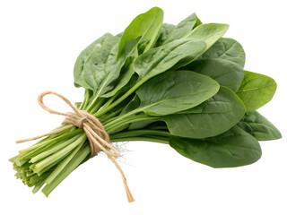 Obraz premium spinach leaves isolated on transparent background png
