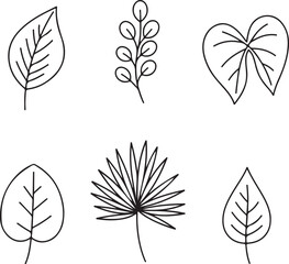 A diverse collection of six unique black line art leaf illustrations for design projects