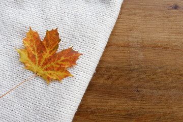A single autumn fall yellow orange red maple leaf on cozy knitted blanket beside warm wooden floor or table