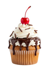 Delicious cupcake with chocolate cream and cherry