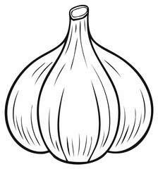 Garlic bulb, monochrome illustration of organic vegetable, cooking ingredient, culinary herb