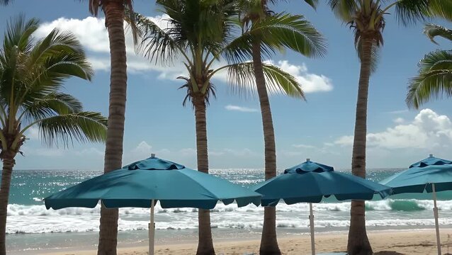 scenic view of tropical trees and shade-providing structures lining a coastal area in a country located in northeastern Africa  featuring a large parasol on the sandy