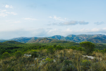 Lush green hills stretch beneath a serene blue sky in a peaceful landscape at midday in the countryside
