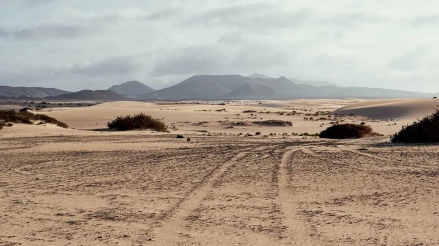 Tire marks etched into sandy terrain stretch toward distant dunes and mountain ranges. A natural desert landscape with minimal vegetation under a soft, cloudy sky. Concept of journey and exploration.