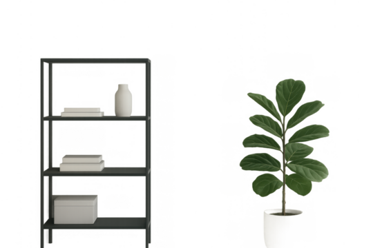 Minimalist shelving unit with books and white vase, green houseplant, transparent background for interior design element - Powered by Adobe