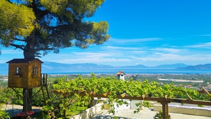 A tree house under a pine tree. A pergola with grapes in the foreground. View of the city, bay and mountains, clear summer day, Peloponnese, Greece.