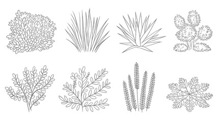 Fototapeta premium set of shrubs line cad, minimal isolated on white background. Ground cover. Illustration for elevation architectural element, side view, grass section. Turf coating banners for edging