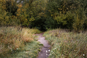 A Narrow Winding Dirt Path Leads Through Overgrown Grass And Dense Early Autumn Foliage