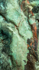 copper sheet with colorful. background or textura patterns