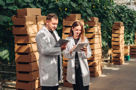 Scientists examining cartons, Scientists in coats assess stacked packaging beside plant nursery, Group of researchers inspecting and recording data on cardboard packages near garden center