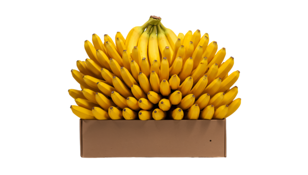 Ripe bananas in a box isolated on transparent background