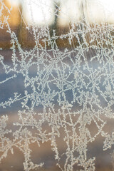 Frost Patterns on a Cold Window in Winter Morning Light
