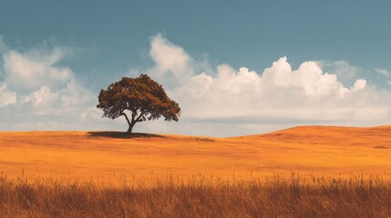 A single tree stands in a vast golden field beneath a bright blue sky with clouds.