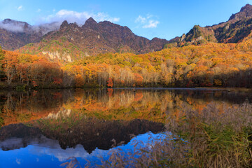イエローライン