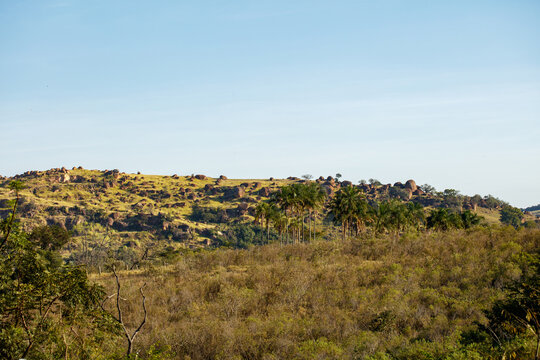 Landscape of the interior of S&atilde;o Paulo, Itupeva, with trees and stones on the grass field.