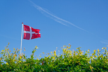 Blue sky with jet trail passing over Danish flag and bushes