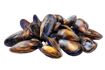 Close-up of a cluster of fresh, whole mussels.  Dark shells, various shades of brown and black, with some showing a golden-yellow interior.  A pile against black background