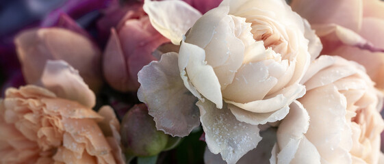 Frosted roses bouquet in vase, pastel tones, autumn winter floral arrangement, seasonal decoration, nature background, holiday design element, copy space, frosty petals, romantic still life