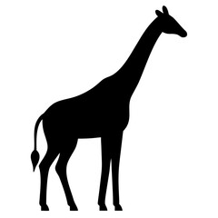 giraffe silhouette vector illustration