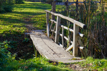 Fototapeta premium Wooden bridge crosses a small stream in a serene green park during daytime in autumn
