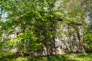 A charming old wooden house peeks through vibrant spring foliage, bathed in warm sunlight. Its weathered facade and multiple windows suggest a cozy, lived-in feel amidst nature's embrace