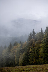 Autumn mountains with forest in fog and clouds