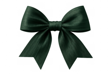 Dark green ribbon bow decorating a gift, wrapping a present for celebration, holidays or special occasion, transparent background