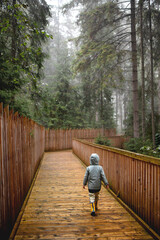 Walking along a path in a rainforest in autumn