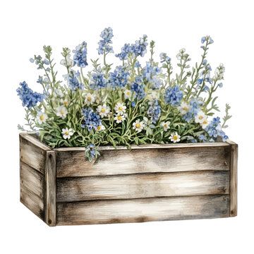 Watercolor Blue Flowers in Rustic Wooden Planter Box Vector Clipart

