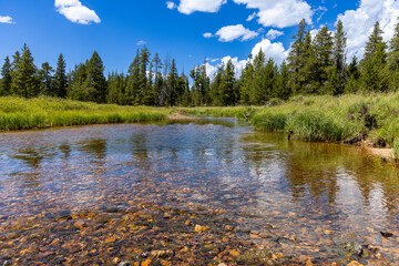 Shallow forest river with rocks and reflections of trees and clouds in Bighorn National Forest, Wyoming, USA