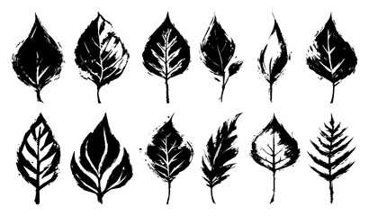 Set of Grunge Brush Stroke Leaves Vector Illustration Botanical Collection