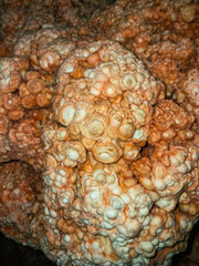 A macro shot of the cave wall shows intricate, clustered formations known as cave coral or popcorn, resembling small roses or bubbles.