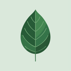 Illustration of a green leaf with visible veins on a light green background.