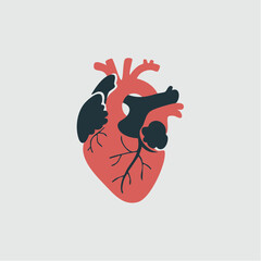 Stylized illustration of a human heart with red and black colors on a light gray background.
