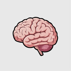 Illustration of a human brain with detailed gyri and sulci, showcasing its complex structure and function.