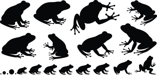 Frog silhouette and life cycle set, black amphibian poses, metamorphosis stages, biological illustration grid, nature icon design, vector visual
