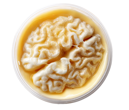 A brain-shaped treat in a round container