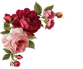 Vintage floral corner design with deep red and blush pink roses